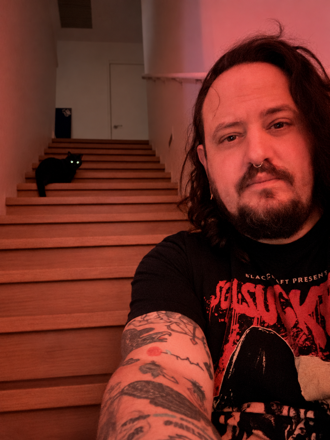 Feral Business in red light with a black cat watching from the stairs