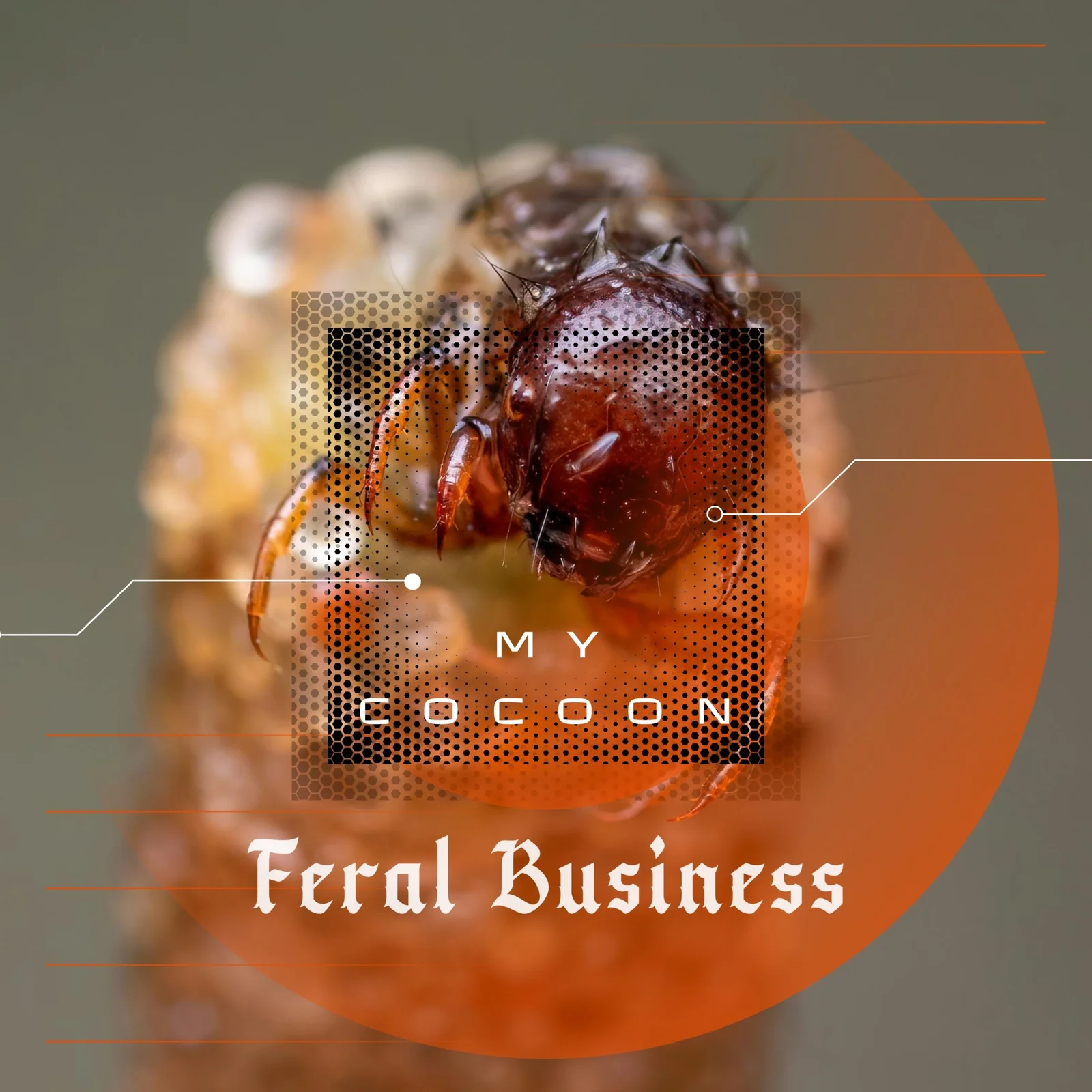 My Cocoon cover artwork