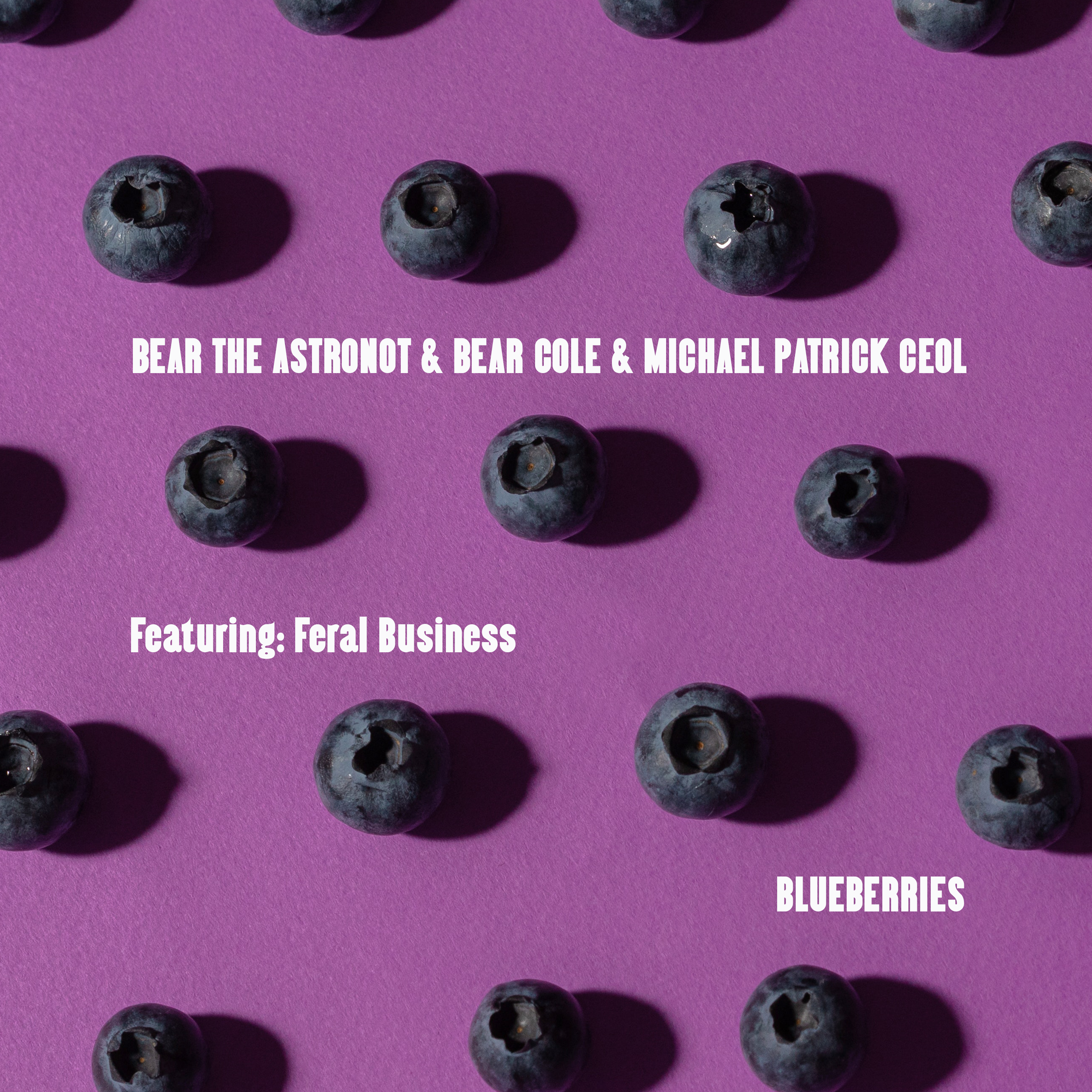 Blueberries - Bear the Astronot & Michael Patrick Ceol feat. Feral Business - Cover