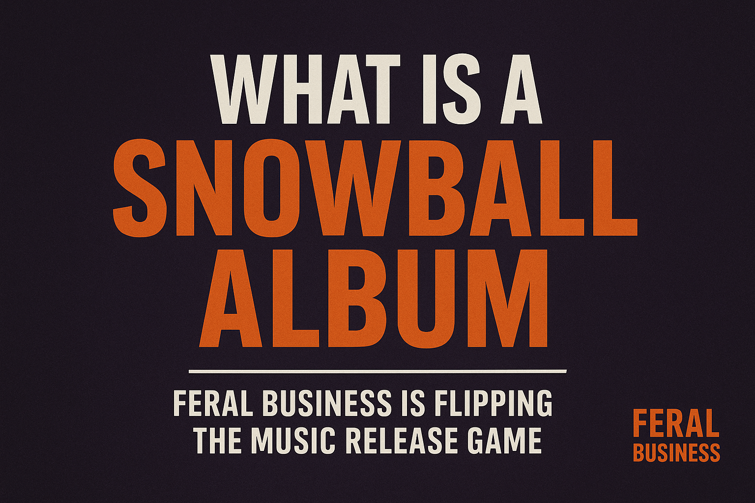 What Is A Snowball Album FeralBusiness